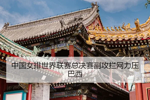 zhong-guo-nv-pai-shi-jie-lian-sai-zong-jue-sai-fu-gong-lan-wang-li-ya-ba-xi-3-347.jpg