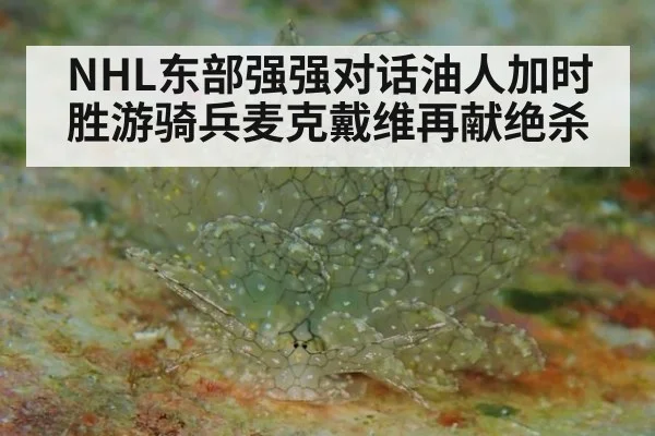 NHL东部强强对话油人加时胜游骑兵麦克戴维再献绝杀