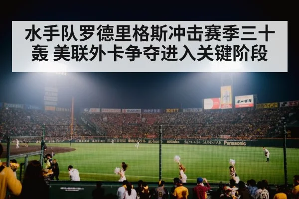 baseball stadium night crowd